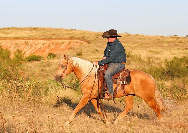 calf-roping-quarter-horse