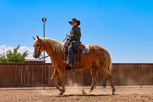 ranch-quarter-horse