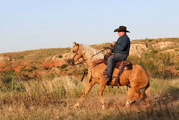 ranch-versatility-quarter-horse