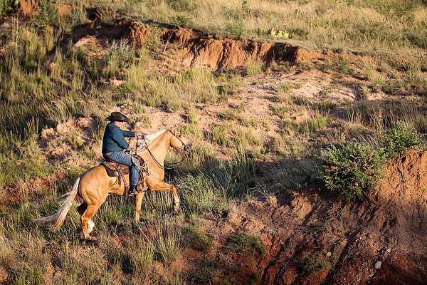 ranch-work-quarter-horse