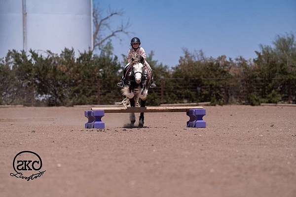 silb-ranch-work-pony