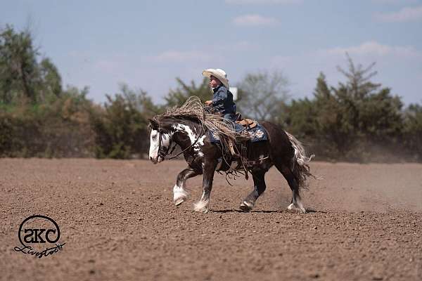 silb-youth-pony