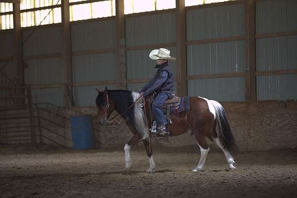 athletic-pony