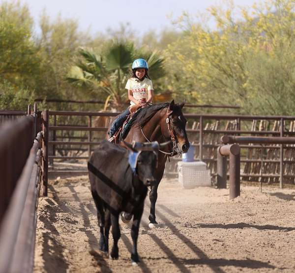 cross-quarter-horse