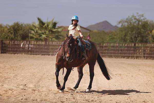 performance-quarter-horse