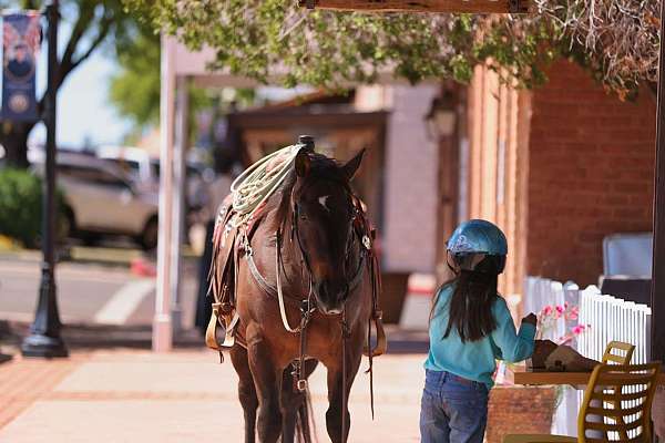 ridden-western-quarter-horse