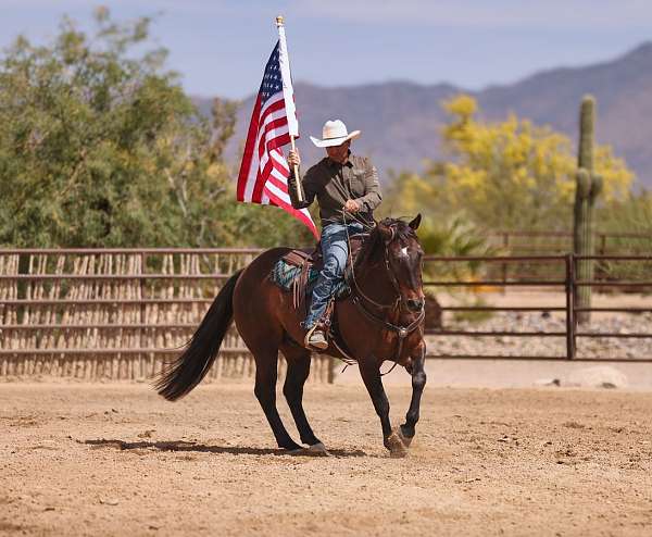 roping-quarter-horse