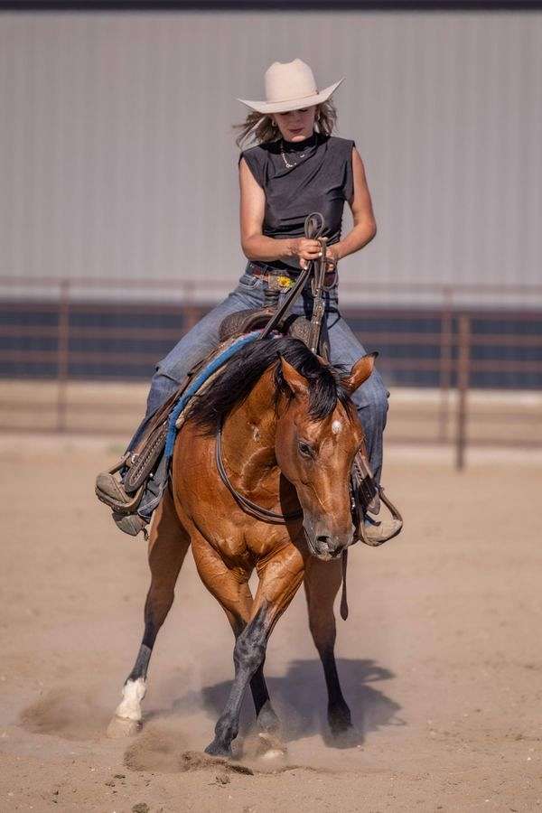 athletic-quarter-pony