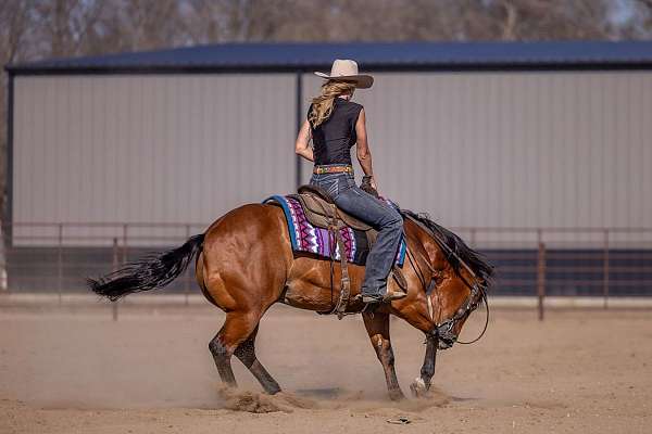 calf-roping-quarter-pony