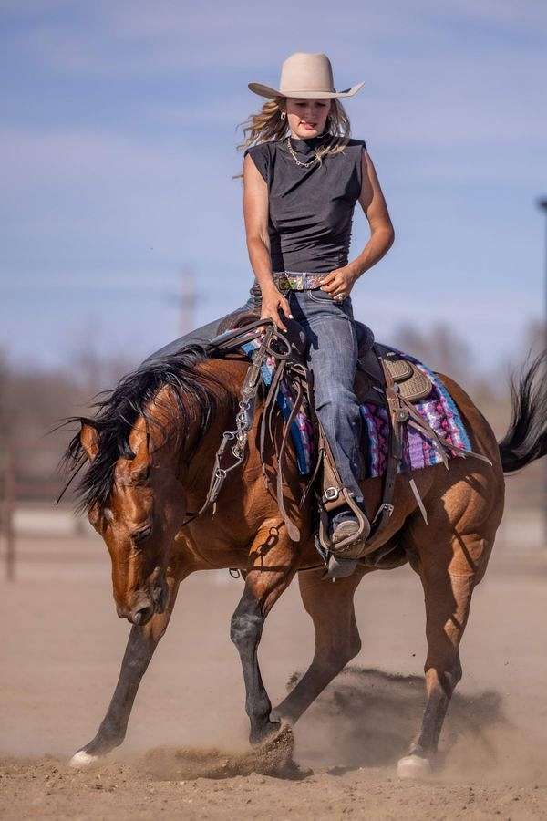 husband-safe-quarter-pony