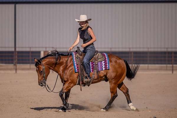 ranch-work-quarter-pony