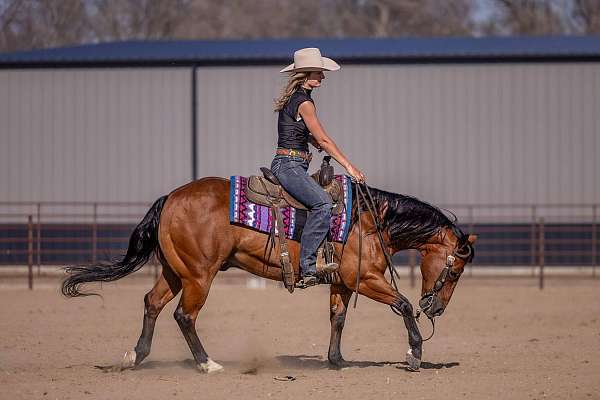 reining-quarter-pony
