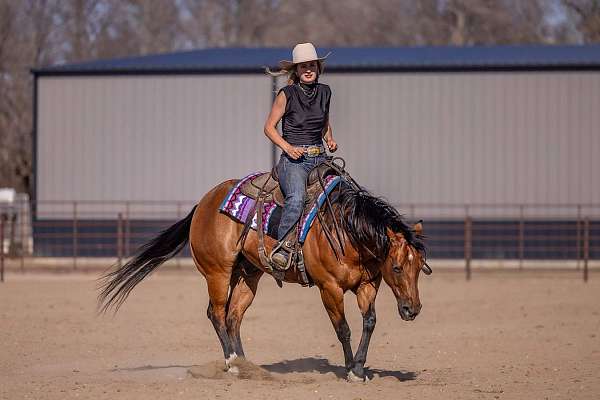 show-quarter-pony
