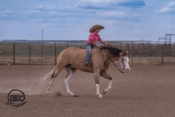 jumping-quarter-horse