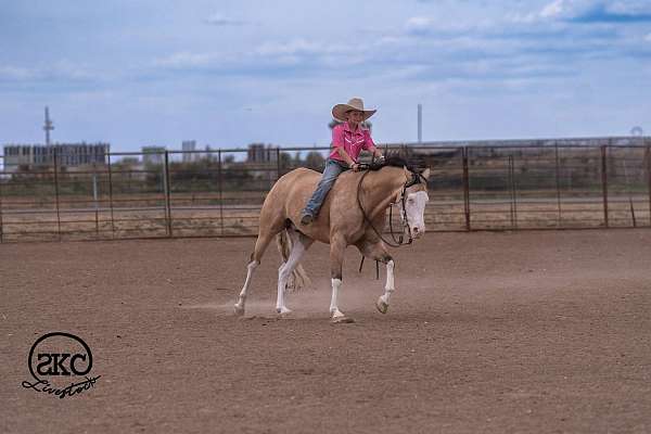 ranch-versatility-quarter-horse