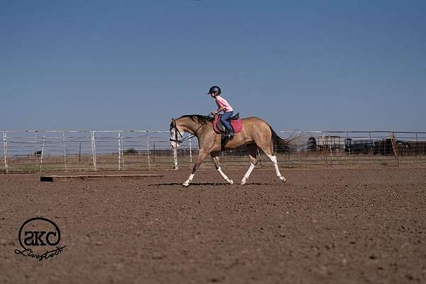 roping-quarter-horse