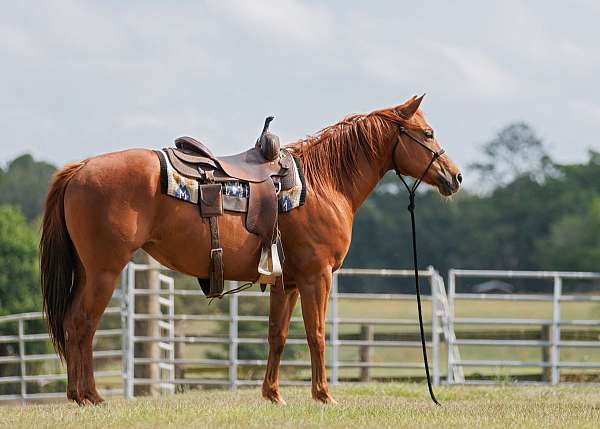obstacle-events-mare