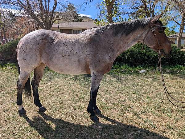 smoke-mare