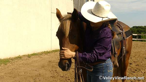 sorrel-flaxen-mane-horse