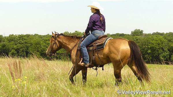 breeding-quarter-horse