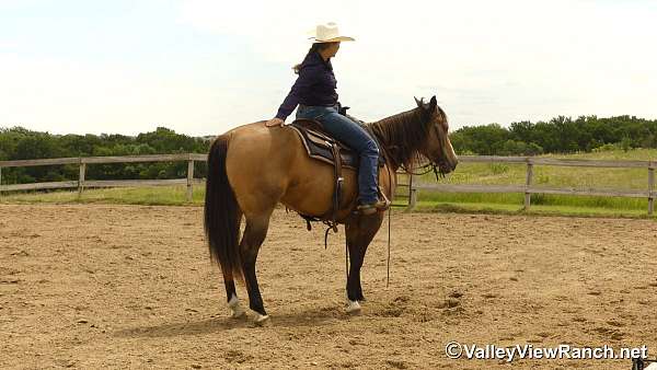 ranch-versatility-quarter-horse