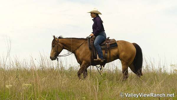 trail-riding-quarter-horse