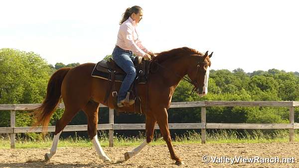 barrel-racing-quarter-horse