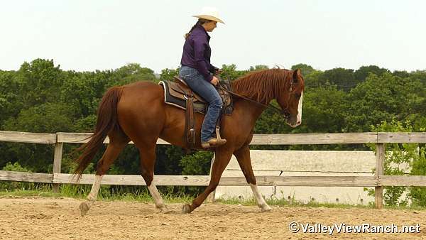 ridden-western-quarter-horse