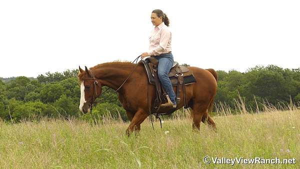 trail-riding-quarter-horse
