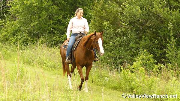 western-dressage-quarter-horse