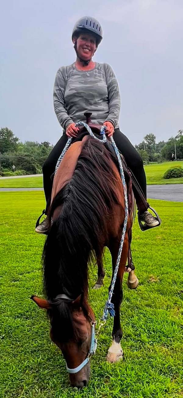thoroughbred-horse