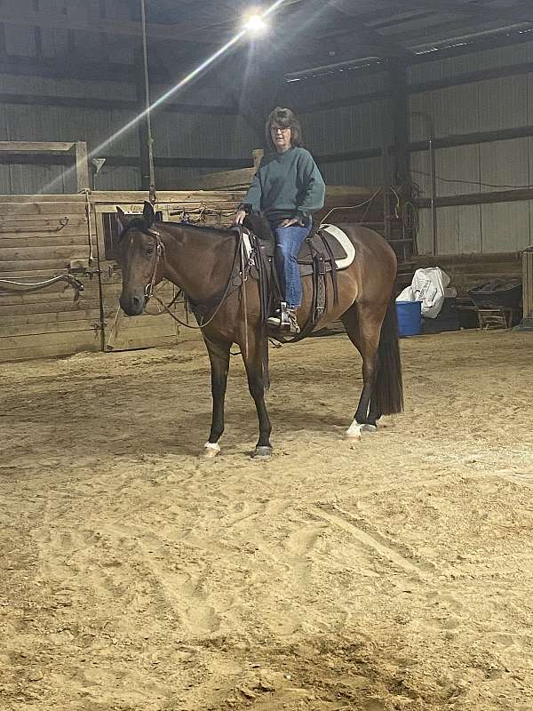 star-horse