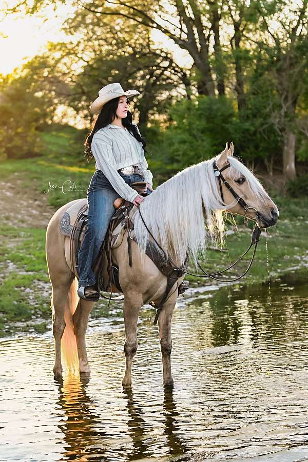 dunalino-pack-horse