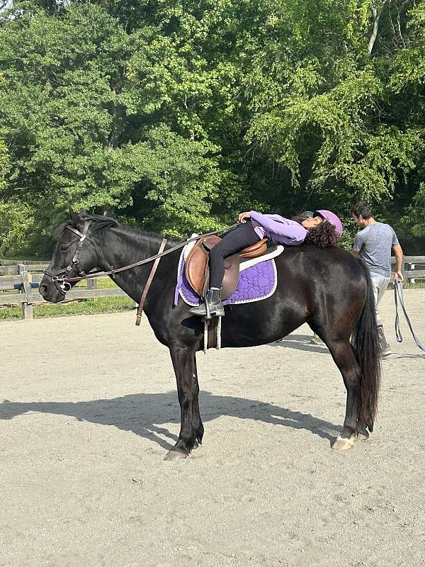all-around-mare
