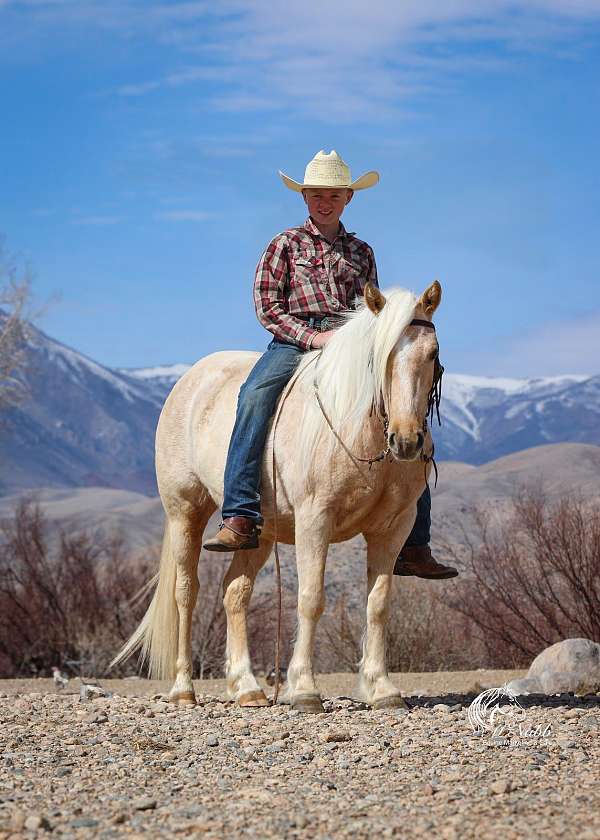 ranch-quarter-pony