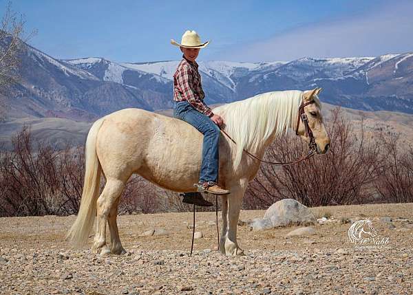 ranch-work-quarter-pony