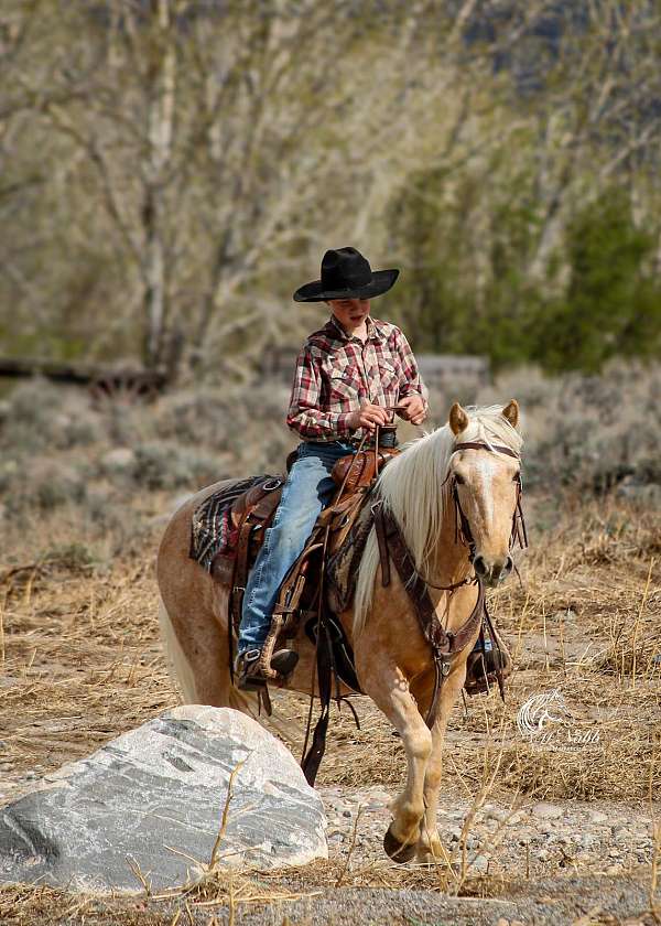 roping-quarter-pony