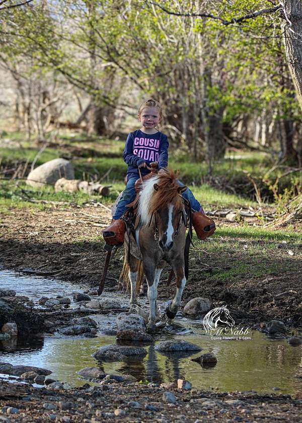 athletic-pony