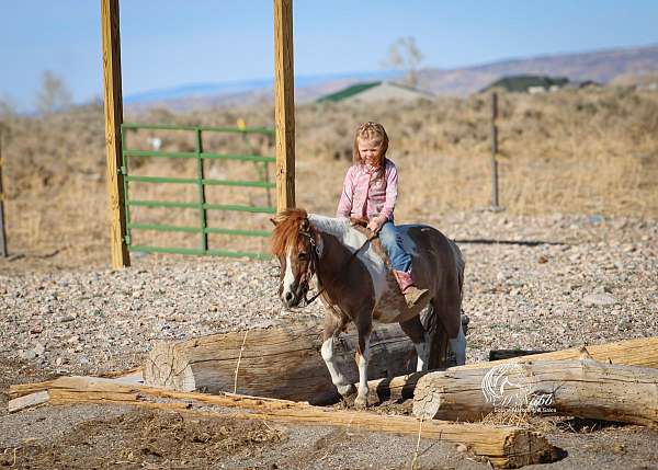 beginner-pony
