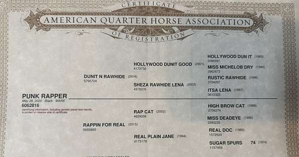roping-quarter-horse