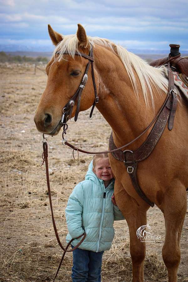 ranch-quarter-horse