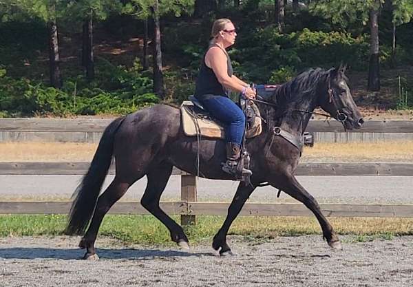varnish-roan-spots-over-butt