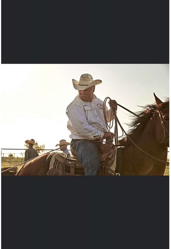 ranch-quarter-horse