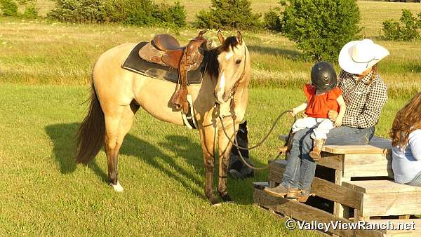cowboy-mounted-shooting-quarter-horse