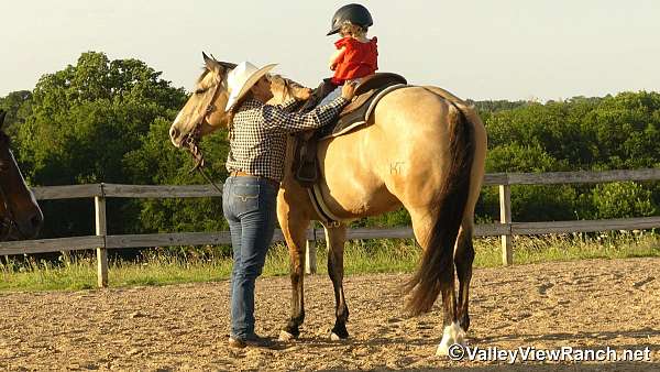 husband-safe-quarter-horse