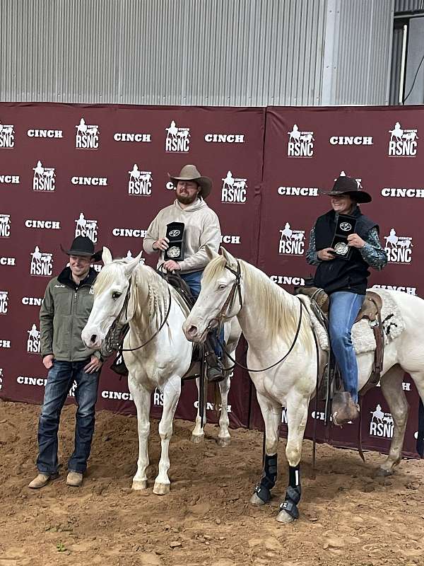 perlino-r-horse