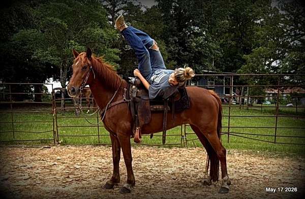 kids-paso-fino-horse