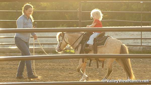 dun-buckskin-horse