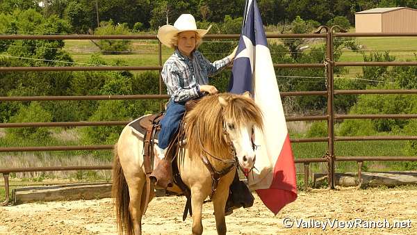 husband-safe-pony