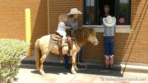 playday-pony